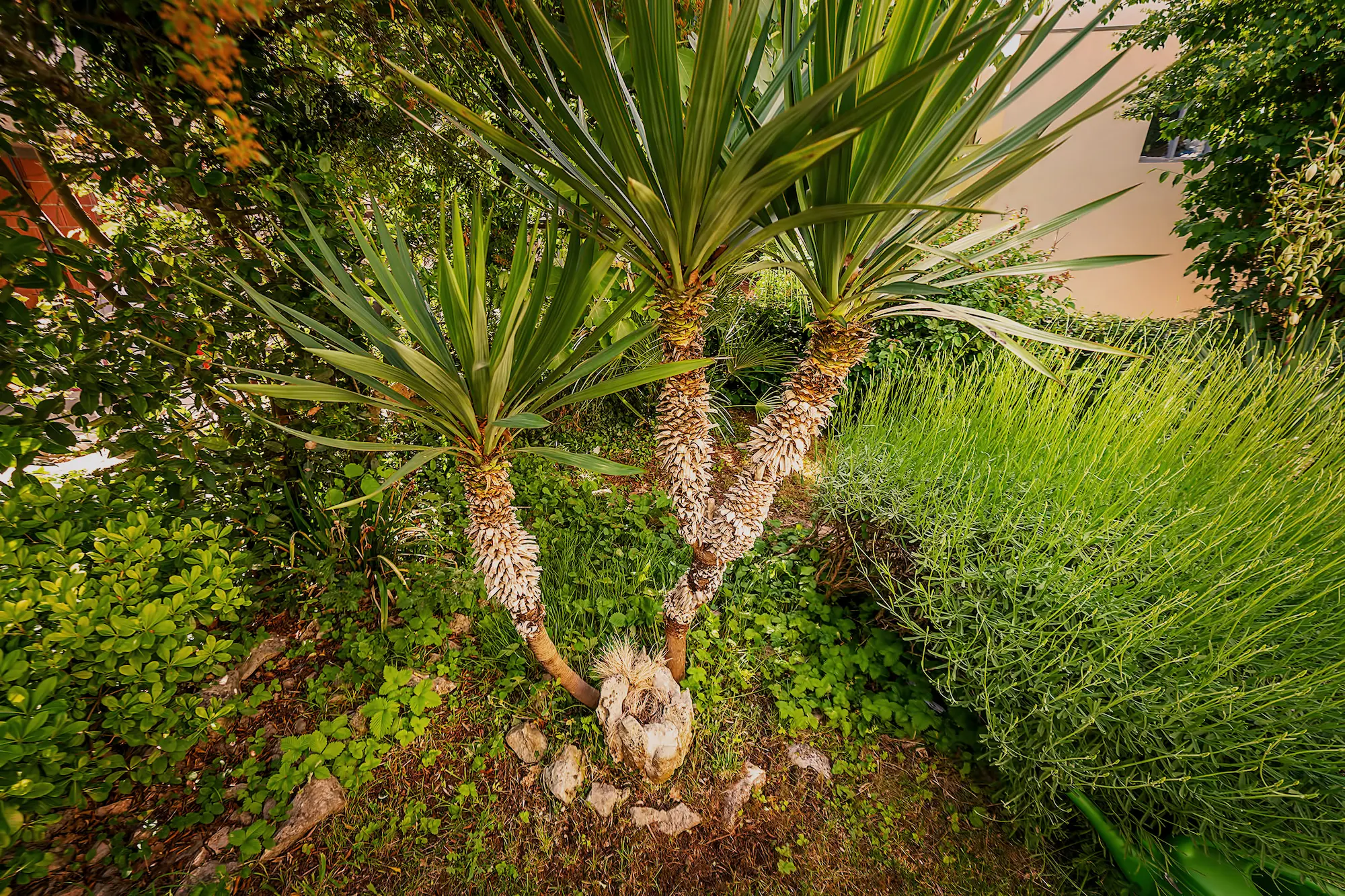 Apartment Noa -Charming Terrace with Scenic Views